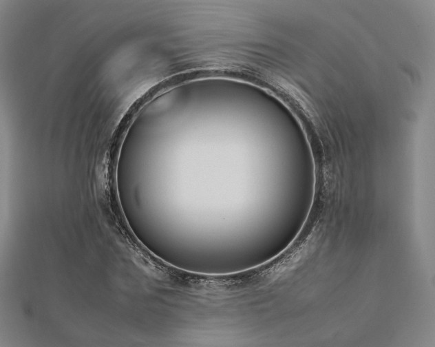 X0000112490875200908171245