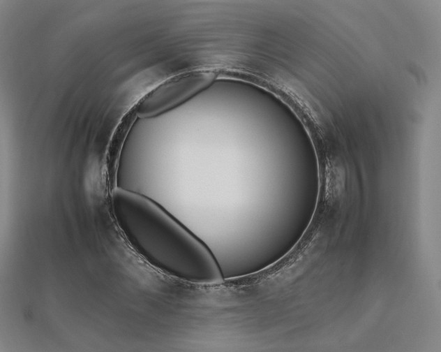 X0000112490876200908171245