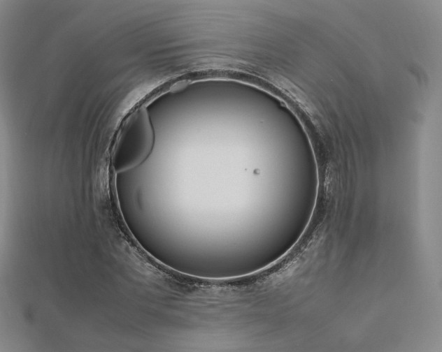 X0000112490877200908171245