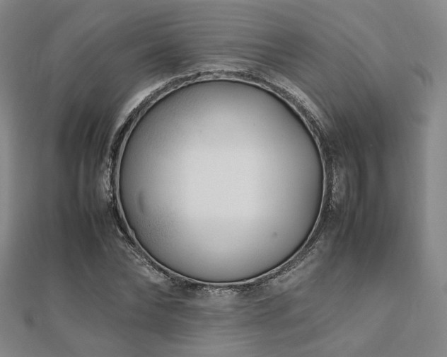 X0000112490878200908171245