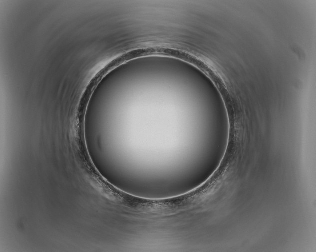 X0000112490879200908171245