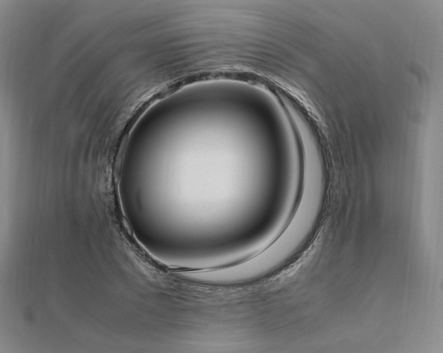 X0000112490881200908171245