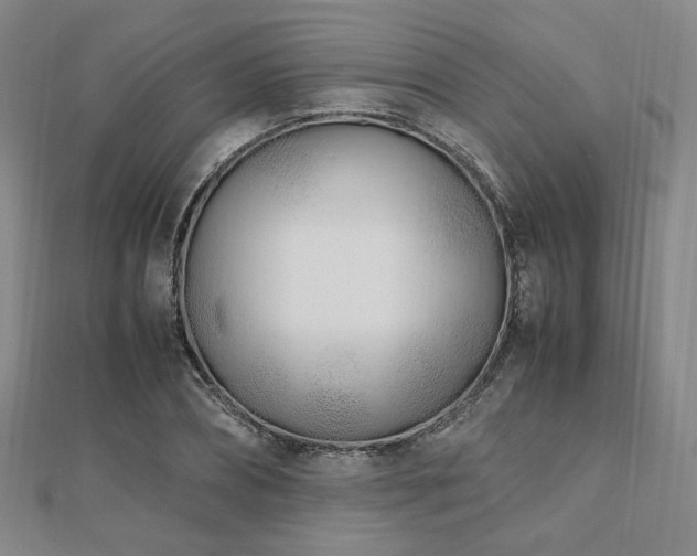 X0000112490882200908171245