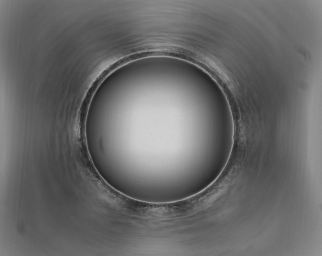 X0000112490883200908171245