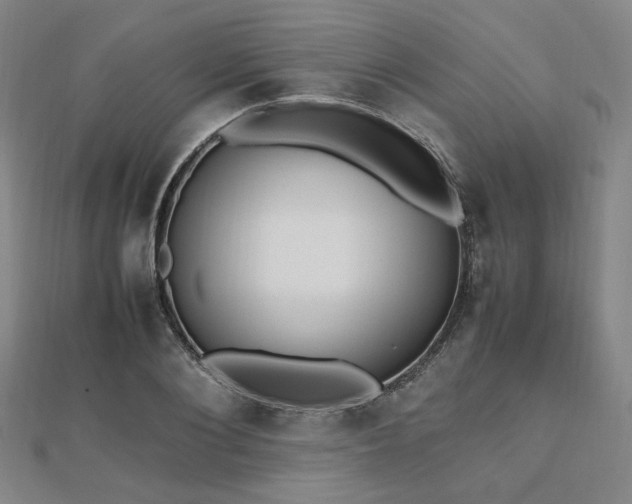X0000112490884200908171245