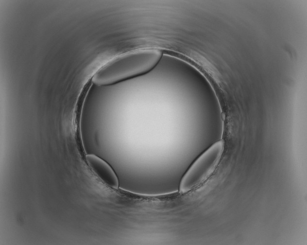 X0000112490885200908171245