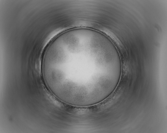 X0000112490886200908171245