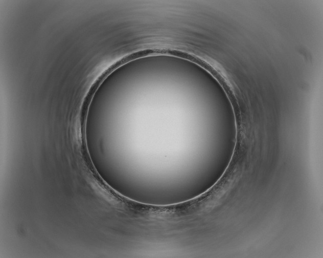 X0000112490887200908171245