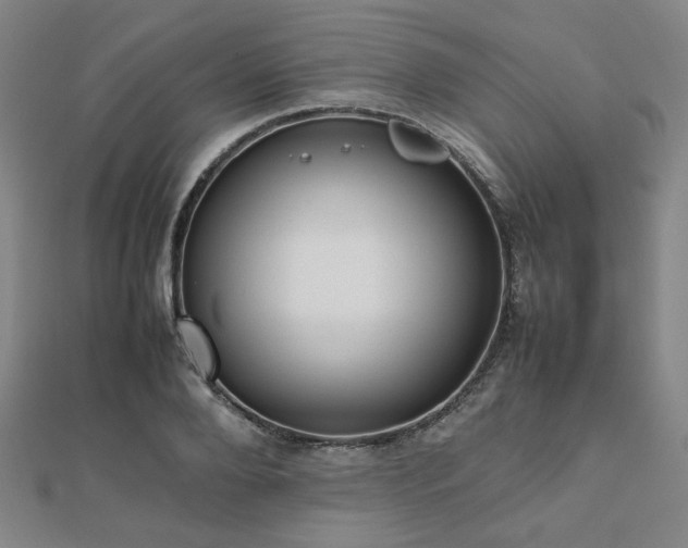 X0000112490888200908171245