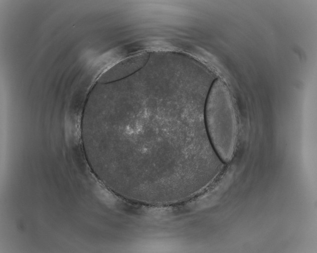 X0000112490889200908171245
