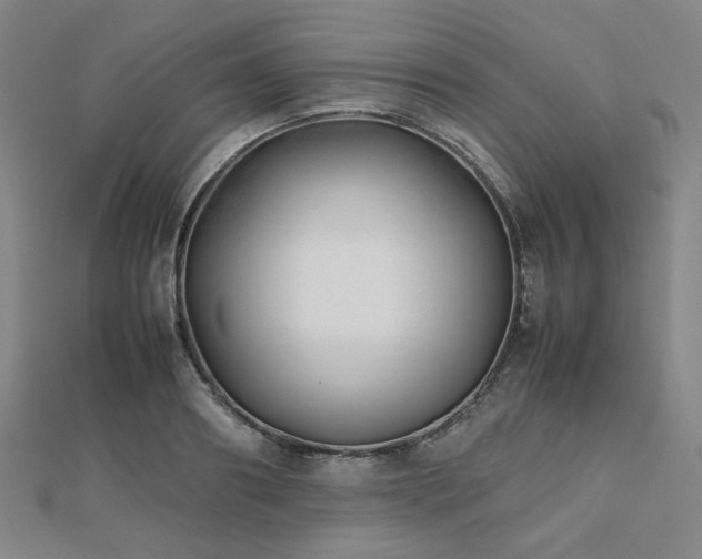 X0000112490890200908171245
