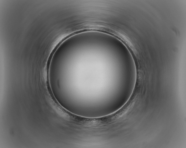 X0000112490891200908171245