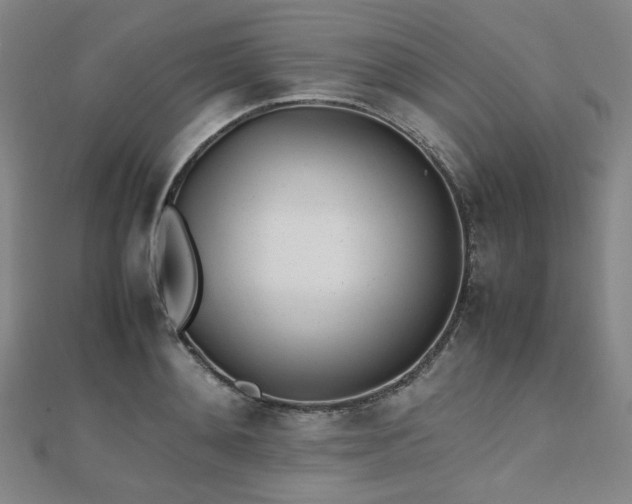 X0000112490892200908171245