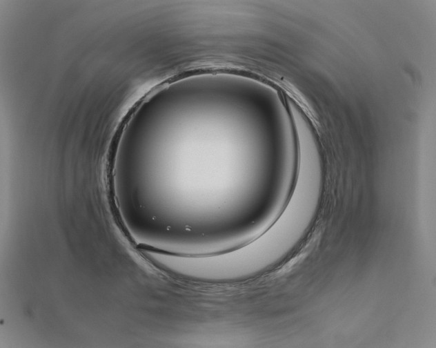 X0000112490893200908171245