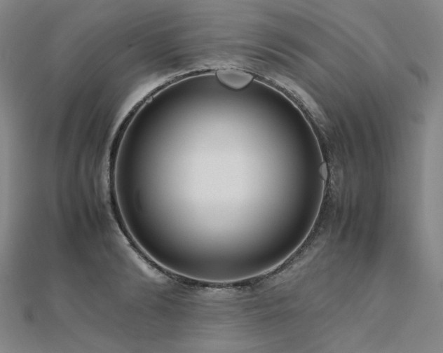 X0000112490894200908171245