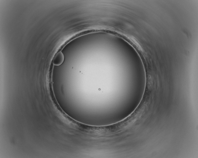 X0000112490895200908171244