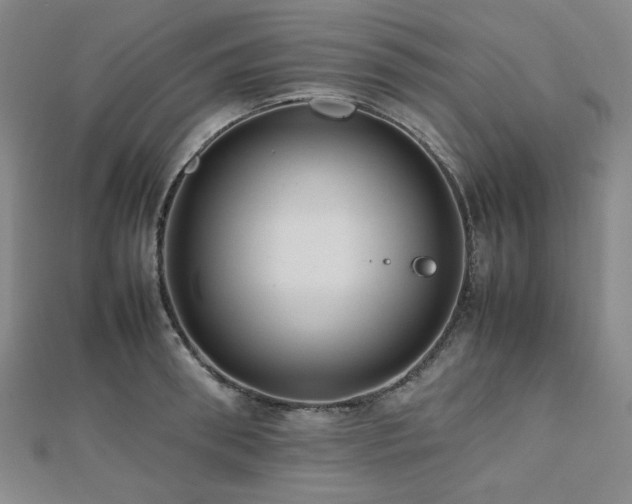 X0000112490898200908171244
