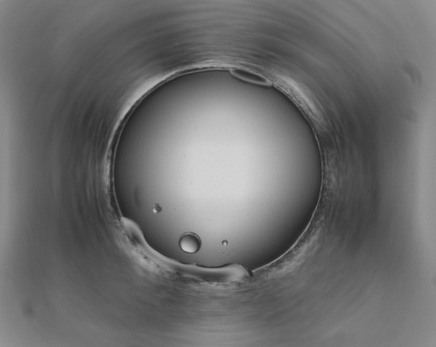 X0000112490900200908171244