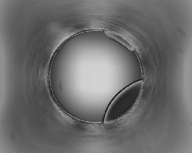 X0000112490901200908171244