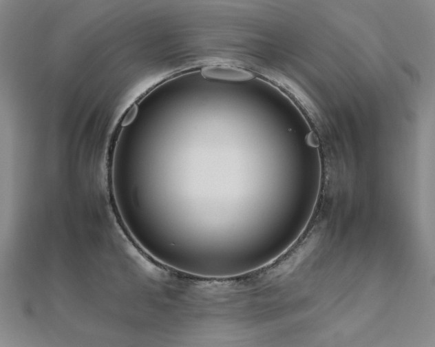 X0000112490902200908171244