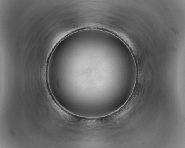 X0000112490903200908171244
