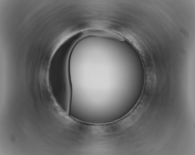 X0000112490904200908171244