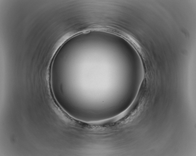 X0000112490907200908171244