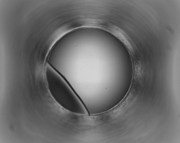 X0000112490908200908171244