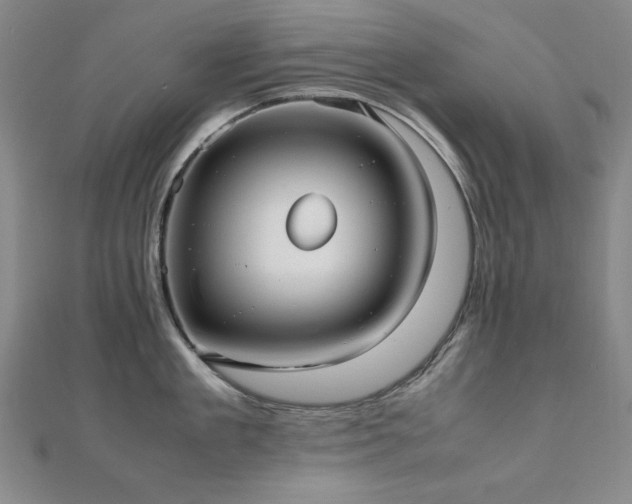 X0000112490909200908171244
