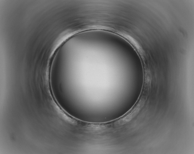 X0000112490910200908171244