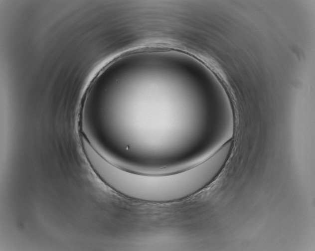 X0000112490912200908171244