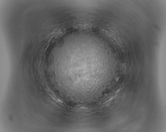 X0000112490913200908171244