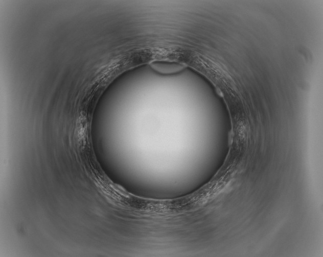 X0000112490914200908171244