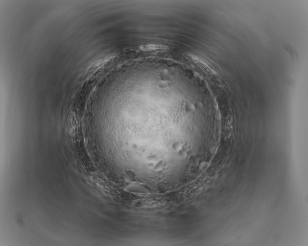 X0000112490917200908171244