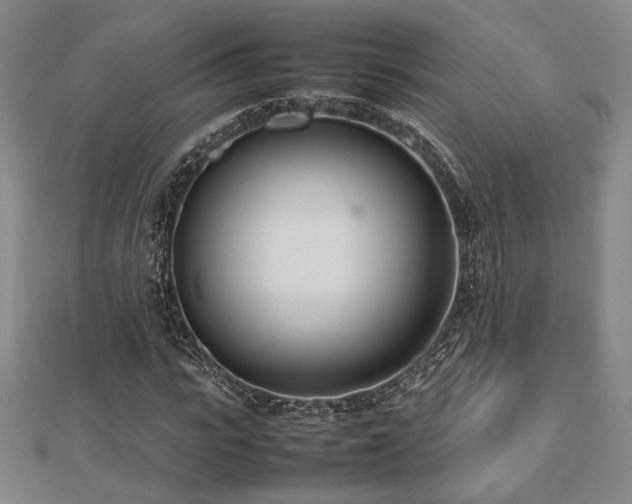 X0000112490919200908171244