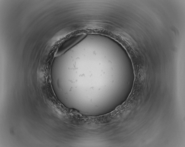 X0000112490920200908171244