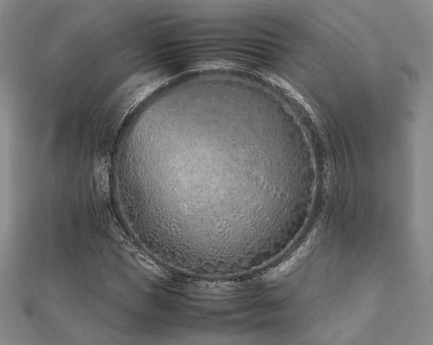 X0000112490921200908171244