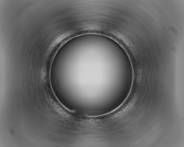 X0000112490922200908171244