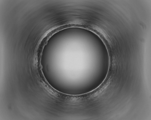 X0000112490923200908171244