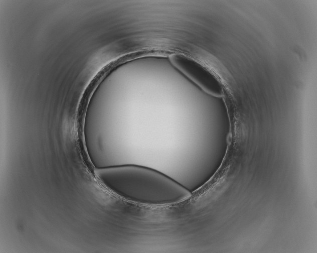 X0000112490924200908171244