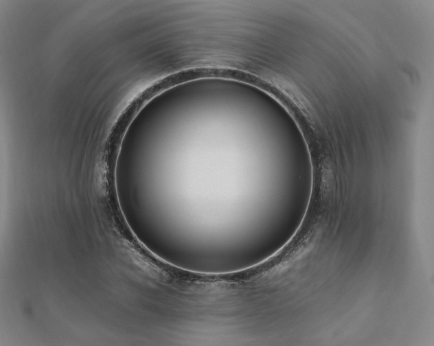 X0000112490926200908171244