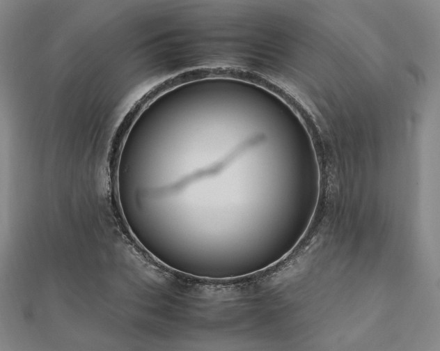 X0000112490927200908171244