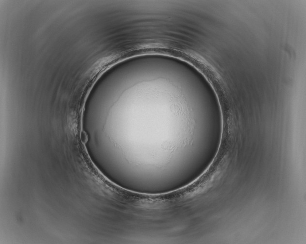 X0000112490929200908171244