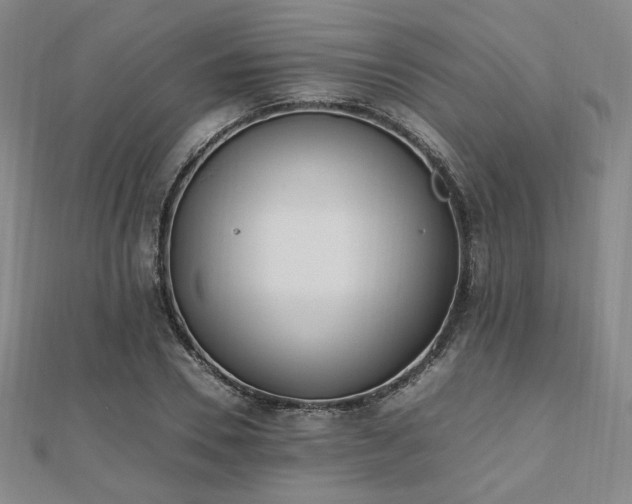 X0000112490930200908171244
