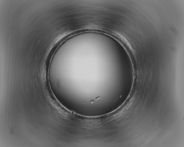 X0000112490931200908171244
