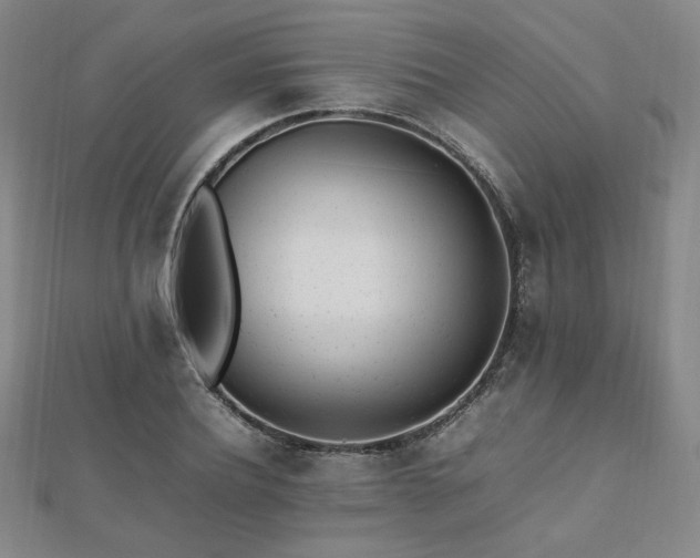 X0000112490932200908171244