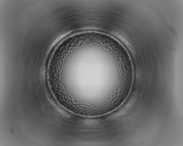 X0000112490933200908171244