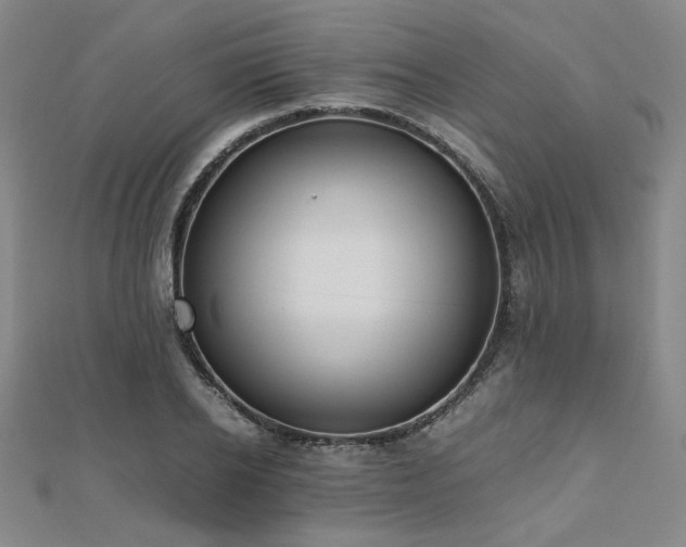 X0000112490934200908171244