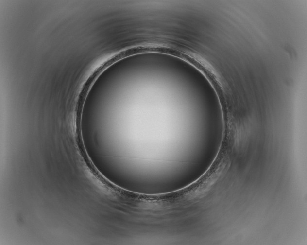 X0000112490935200908171244