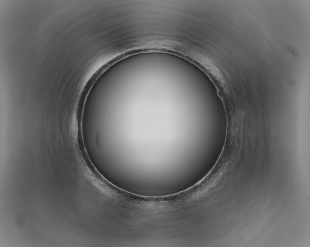 X0000112490936200908171244